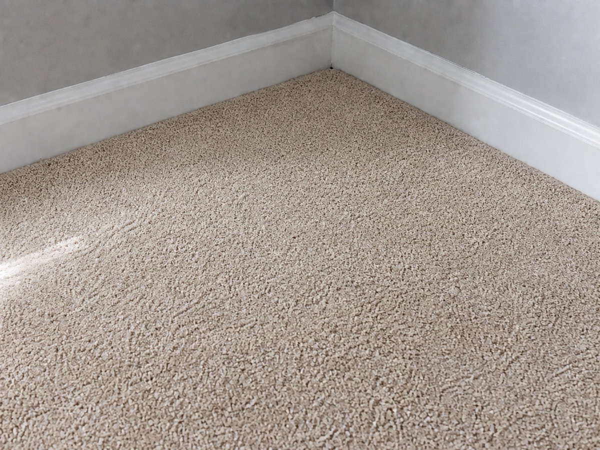 After: Carpet with a corner of old pet stains, then the same corner after treatment