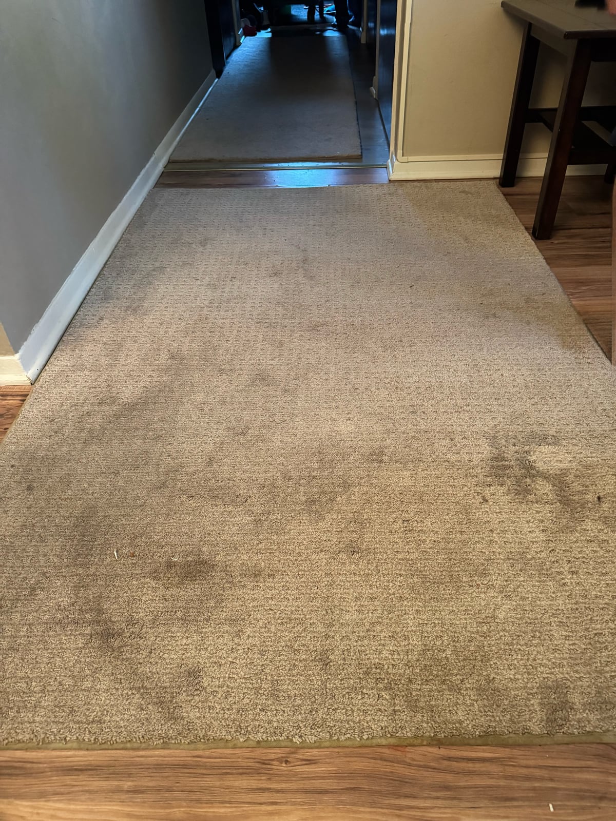 Before: Light-colored area rug with visible traffic soil and spots, then the rug after cleaning