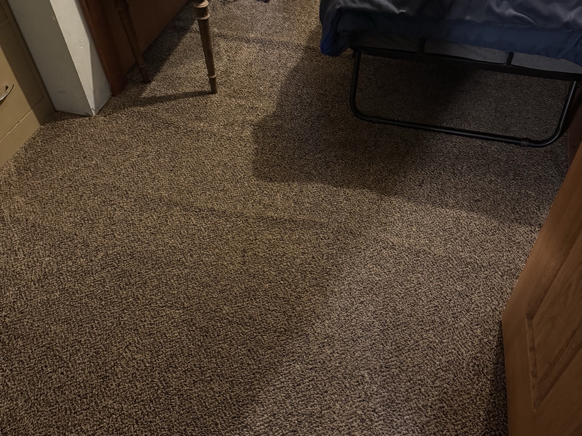 Finished bedroom carpet viewed from the doorway